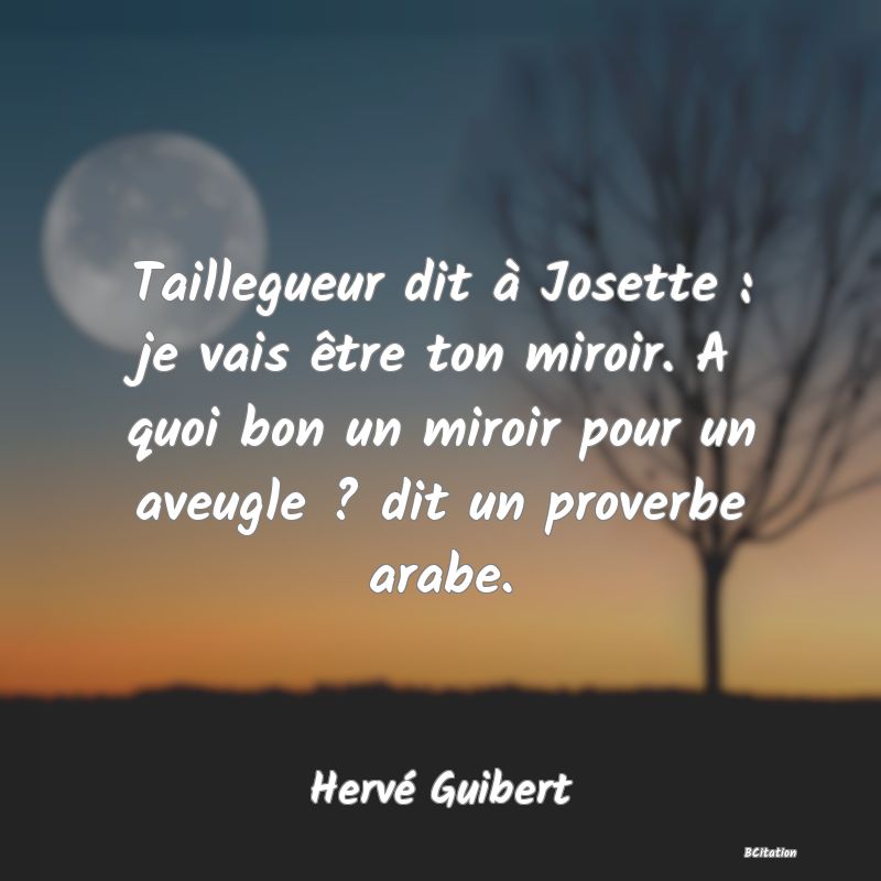 image de citation: Taillegueur dit à Josette : je vais être ton miroir. A quoi bon un miroir pour un aveugle ? dit un proverbe arabe.