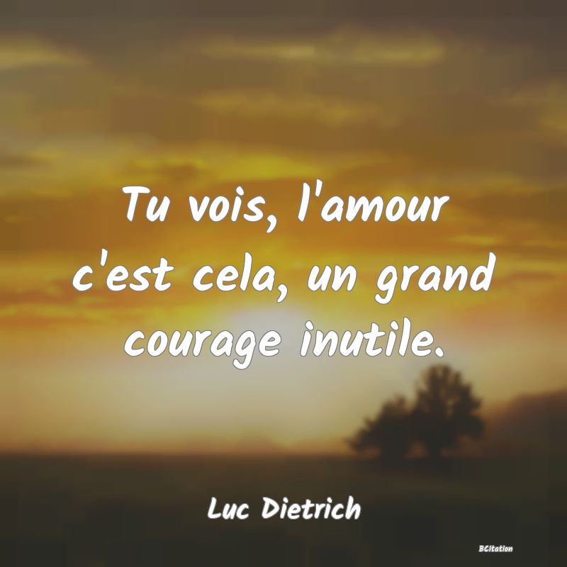 image de citation: Tu vois, l'amour c'est cela, un grand courage inutile.