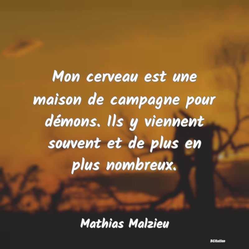 Belle Citation - Mon cerveau est une maison de campagne pour démons. Ils y viennent souvent et de plus en plus nombreux. - Mathias Malzieu
