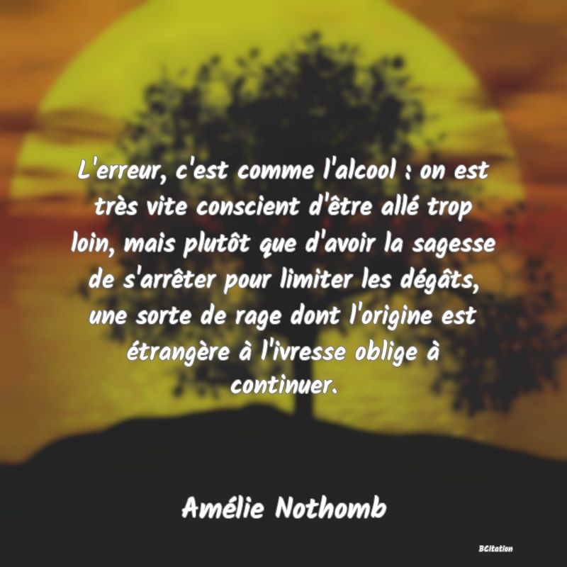 image de citation: L'erreur, c'est comme l'alcool : on est très vite conscient d'être allé trop loin, mais plutôt que d'avoir la sagesse de s'arrêter pour limiter les dégâts, une sorte de rage dont l'origine est étrangère à l'ivresse oblige à continuer.