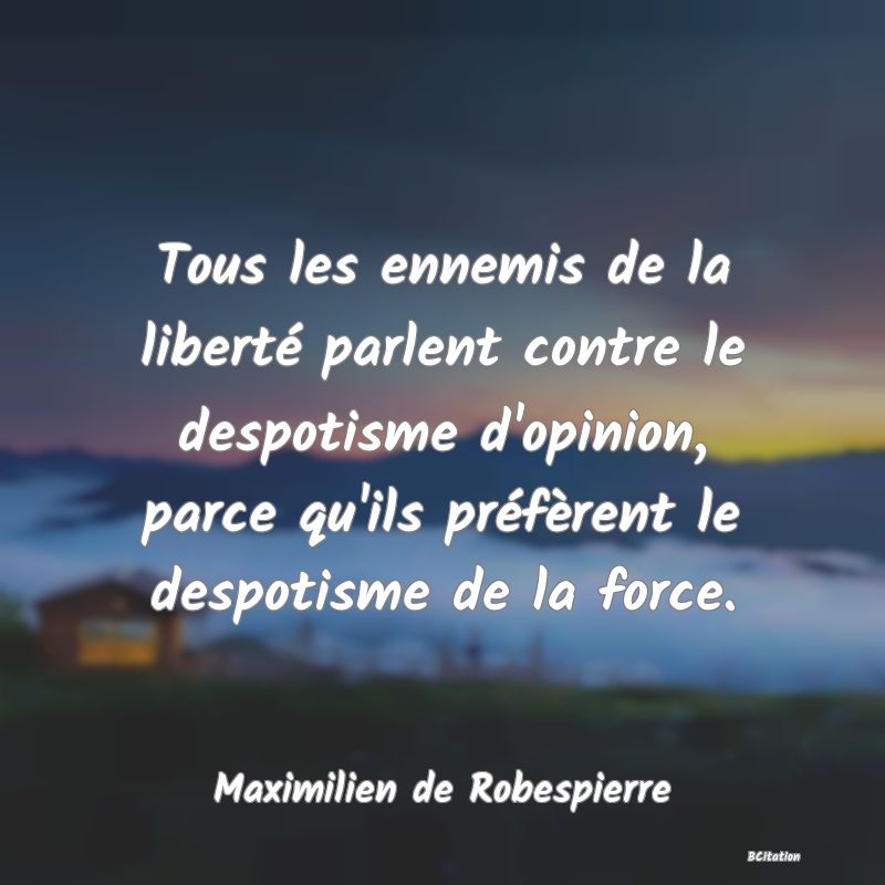 image de citation: Tous les ennemis de la liberté parlent contre le despotisme d'opinion, parce qu'ils préfèrent le despotisme de la force.