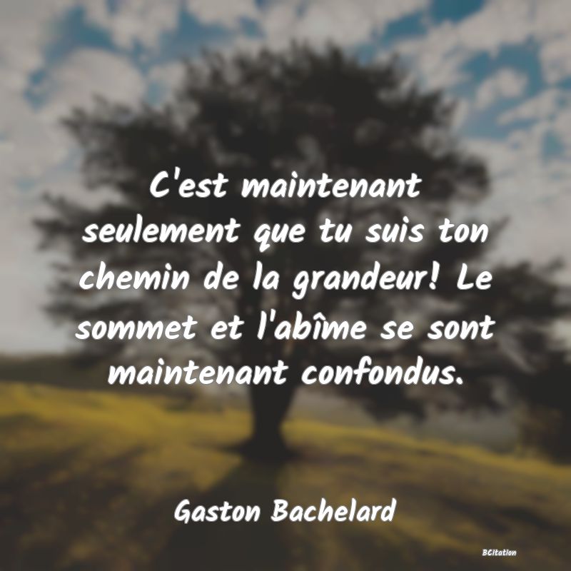 image de citation: C'est maintenant seulement que tu suis ton chemin de la grandeur! Le sommet et l'abîme se sont maintenant confondus.