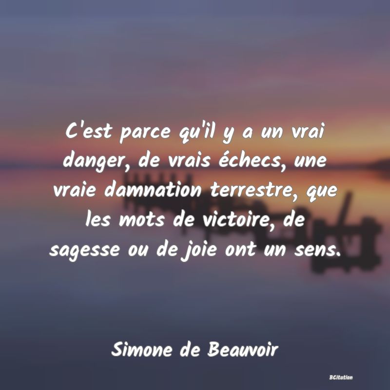 image de citation: C'est parce qu'il y a un vrai danger, de vrais échecs, une vraie damnation terrestre, que les mots de victoire, de sagesse ou de joie ont un sens.