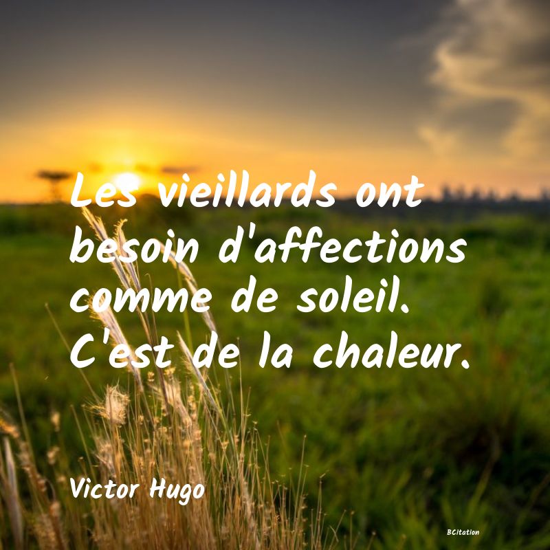 image de citation: Les vieillards ont besoin d'affections comme de soleil. C'est de la chaleur.