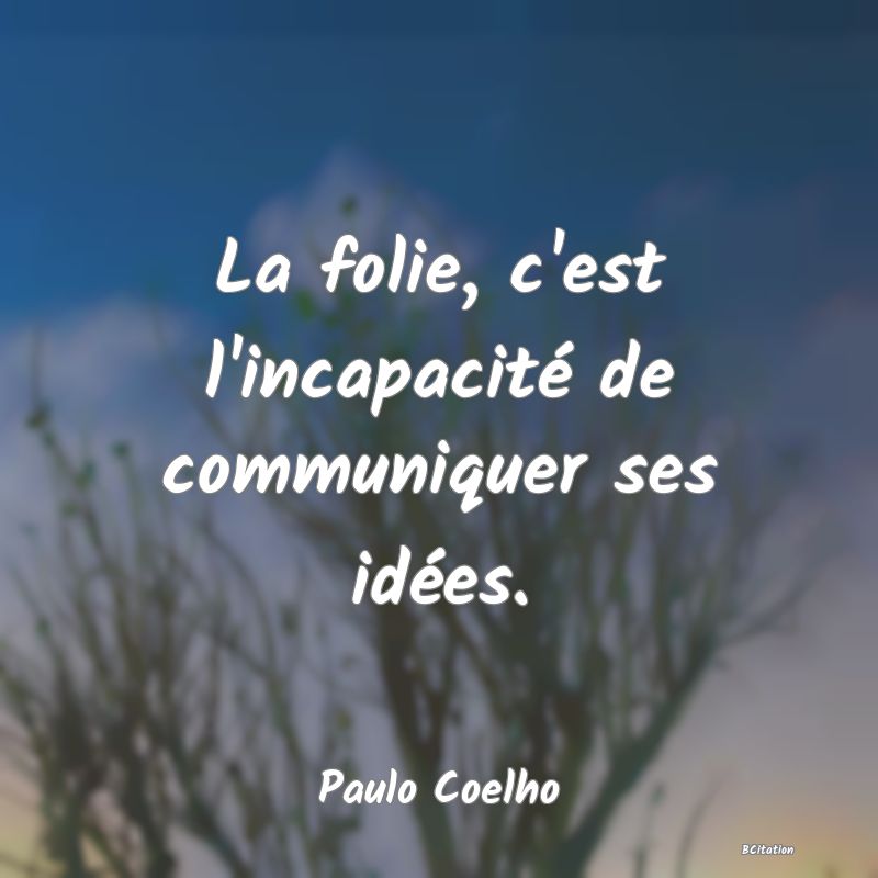 image de citation: La folie, c'est l'incapacité de communiquer ses idées.