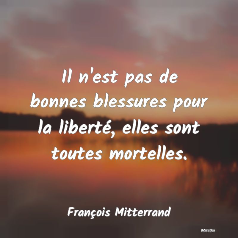 image de citation: Il n'est pas de bonnes blessures pour la liberté, elles sont toutes mortelles.