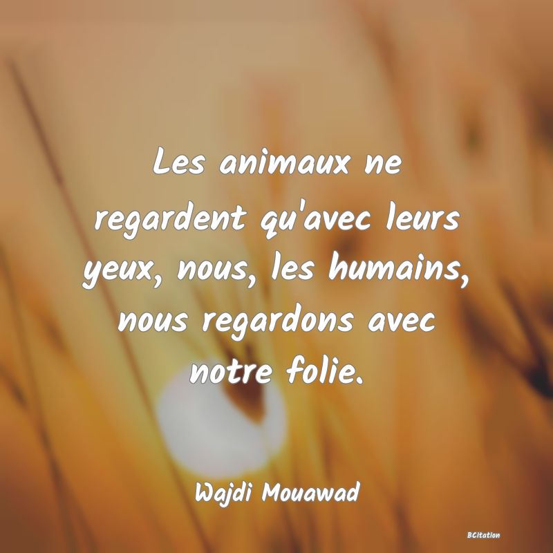 image de citation: Les animaux ne regardent qu'avec leurs yeux, nous, les humains, nous regardons avec notre folie.