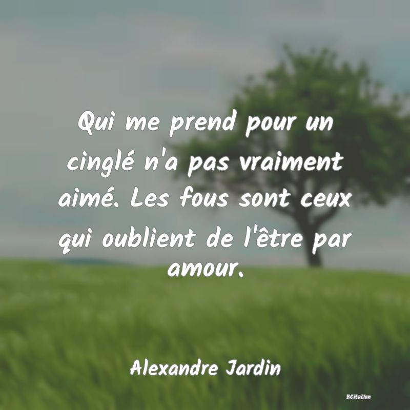 image de citation: Qui me prend pour un cinglé n'a pas vraiment aimé. Les fous sont ceux qui oublient de l'être par amour.