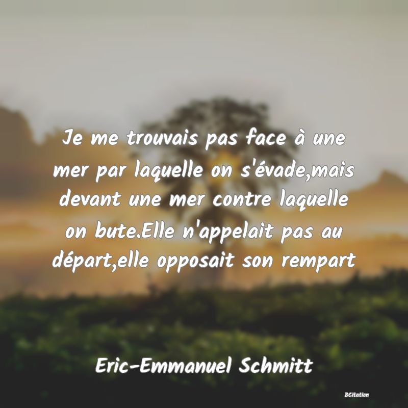 image de citation: Je me trouvais pas face à une mer par laquelle on s'évade,mais devant une mer contre laquelle on bute.Elle n'appelait pas au départ,elle opposait son rempart