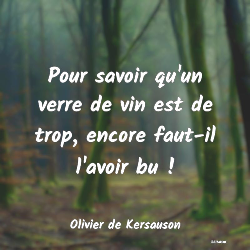 image de citation: Pour savoir qu'un verre de vin est de trop, encore faut-il l'avoir bu !