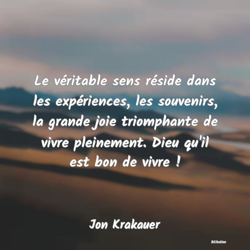 image de citation: Le véritable sens réside dans les expériences, les souvenirs, la grande joie triomphante de vivre pleinement. Dieu qu'il est bon de vivre !