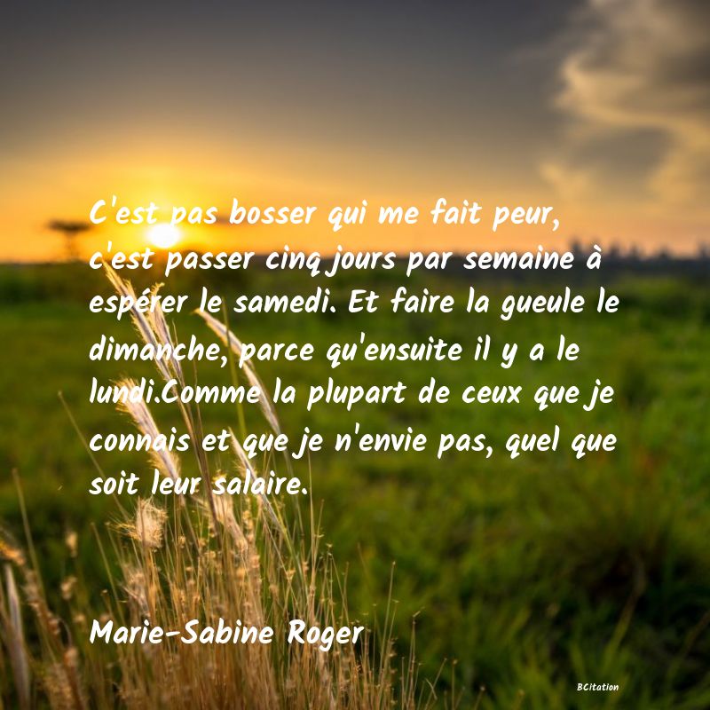 image de citation: C'est pas bosser qui me fait peur, c'est passer cinq jours par semaine à espérer le samedi. Et faire la gueule le dimanche, parce qu'ensuite il y a le lundi.Comme la plupart de ceux que je connais et que je n'envie pas, quel que soit leur salaire.