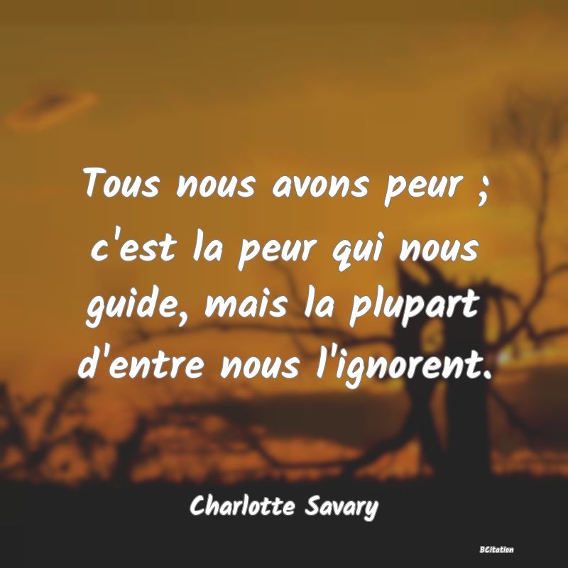 image de citation: Tous nous avons peur ; c'est la peur qui nous guide, mais la plupart d'entre nous l'ignorent.