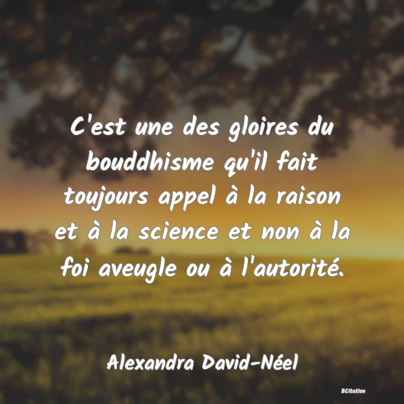 image de citation: C'est une des gloires du bouddhisme qu'il fait toujours appel à la raison et à la science et non à la foi aveugle ou à l'autorité.