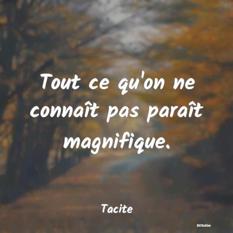 image de citation: Tout ce qu'on ne connaît pas paraît magnifique.