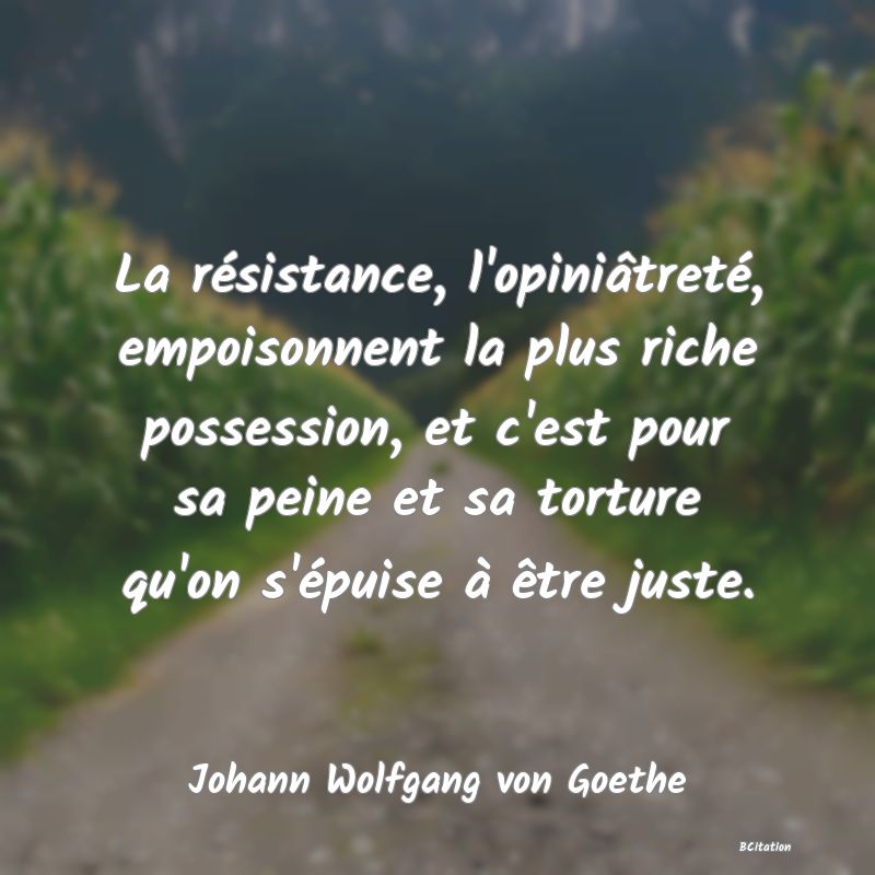 image de citation: La résistance, l'opiniâtreté, empoisonnent la plus riche possession, et c'est pour sa peine et sa torture qu'on s'épuise à être juste.