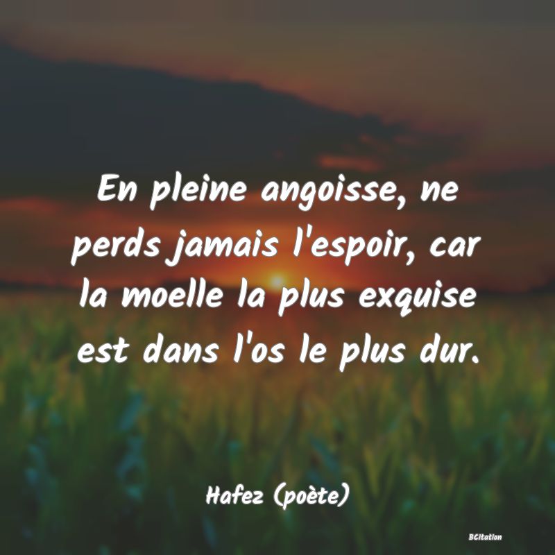 image de citation: En pleine angoisse, ne perds jamais l'espoir, car la moelle la plus exquise est dans l'os le plus dur.