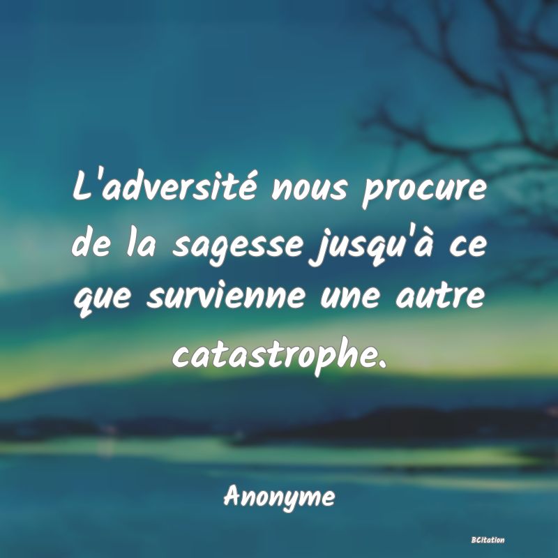 image de citation: L'adversité nous procure de la sagesse jusqu'à ce que survienne une autre catastrophe.