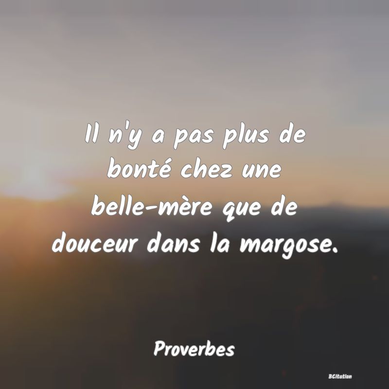 image de citation: Il n'y a pas plus de bonté chez une belle-mère que de douceur dans la margose.