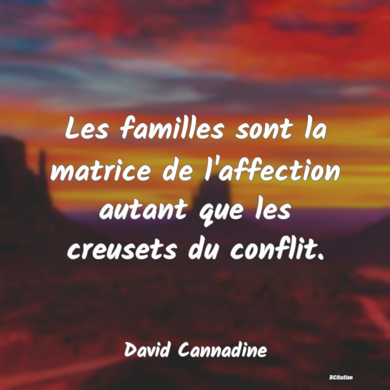 image de citation: Les familles sont la matrice de l'affection autant que les creusets du conflit.