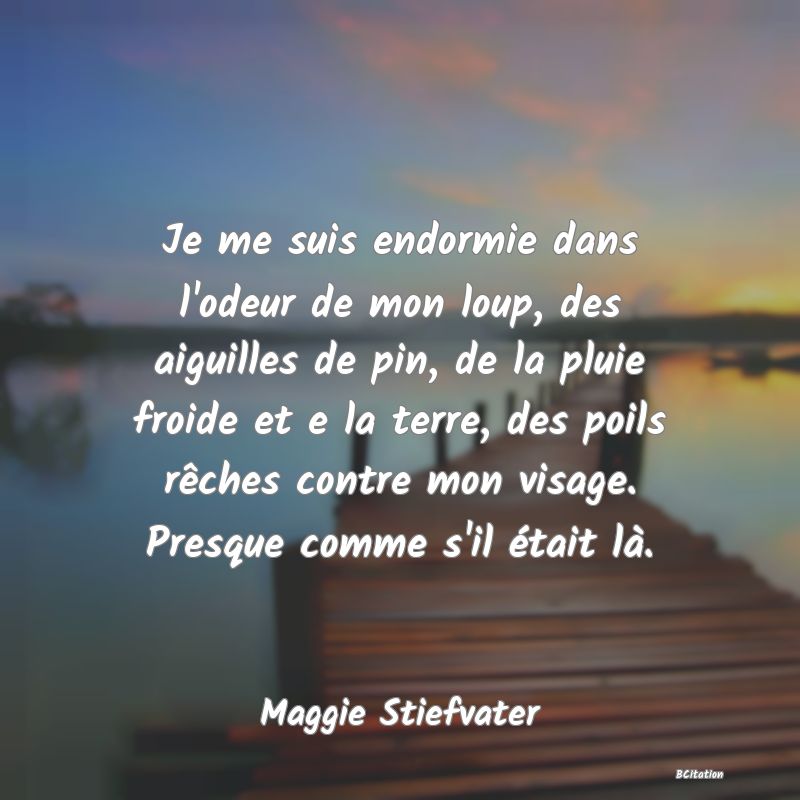 Belle Citation - Je me suis endormie dans l'odeur de mon loup, des aiguilles de pin, de la pluie froide et e la terre, des poils rêches contre mon visage. Presque comme s'il était là. - Maggie Stiefvater