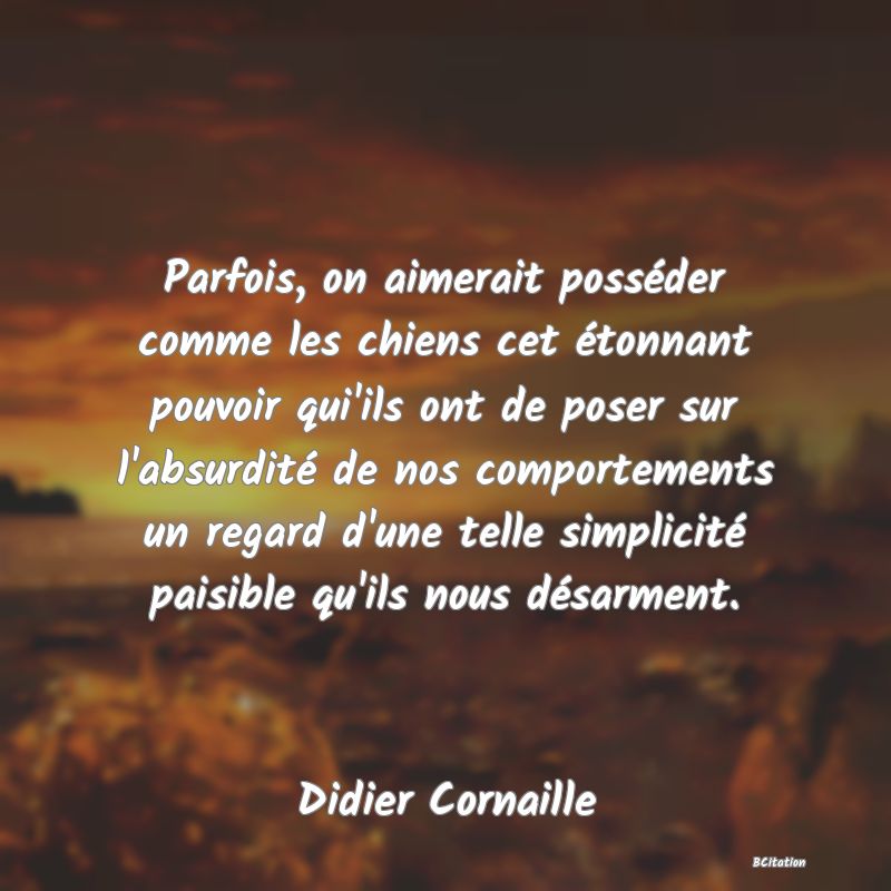 image de citation: Parfois, on aimerait posséder comme les chiens cet étonnant pouvoir qui'ils ont de poser sur l'absurdité de nos comportements un regard d'une telle simplicité paisible qu'ils nous désarment.