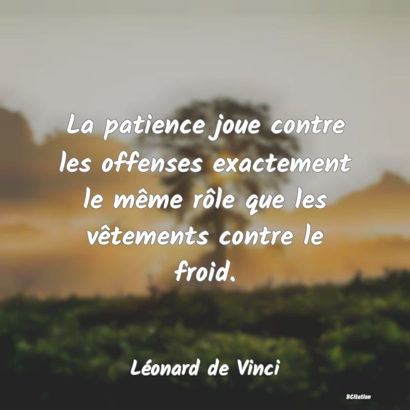 image de citation: La patience joue contre les offenses exactement le même rôle que les vêtements contre le froid.