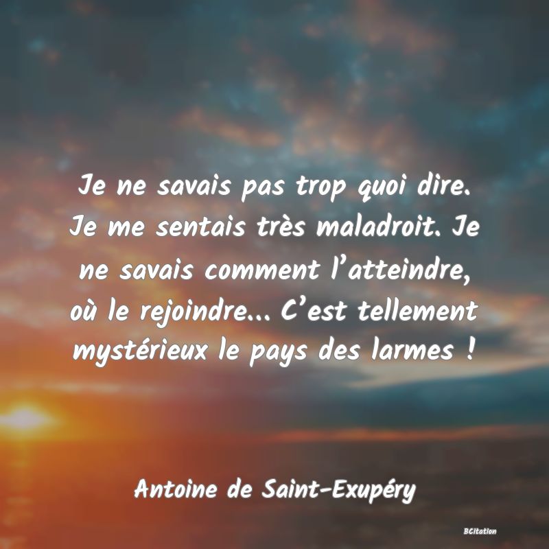 image de citation: Je ne savais pas trop quoi dire. Je me sentais très maladroit. Je ne savais comment l’atteindre, où le rejoindre… C’est tellement mystérieux le pays des larmes !