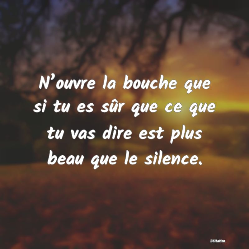 image de citation: N’ouvre la bouche que si tu es sûr que ce que tu vas dire est plus beau que le silence.