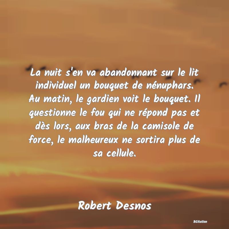 image de citation: La nuit s'en va abandonnant sur le lit individuel un bouquet de nénuphars. Au matin, le gardien voit le bouquet. Il questionne le fou qui ne répond pas et dès lors, aux bras de la camisole de force, le malheureux ne sortira plus de sa cellule.