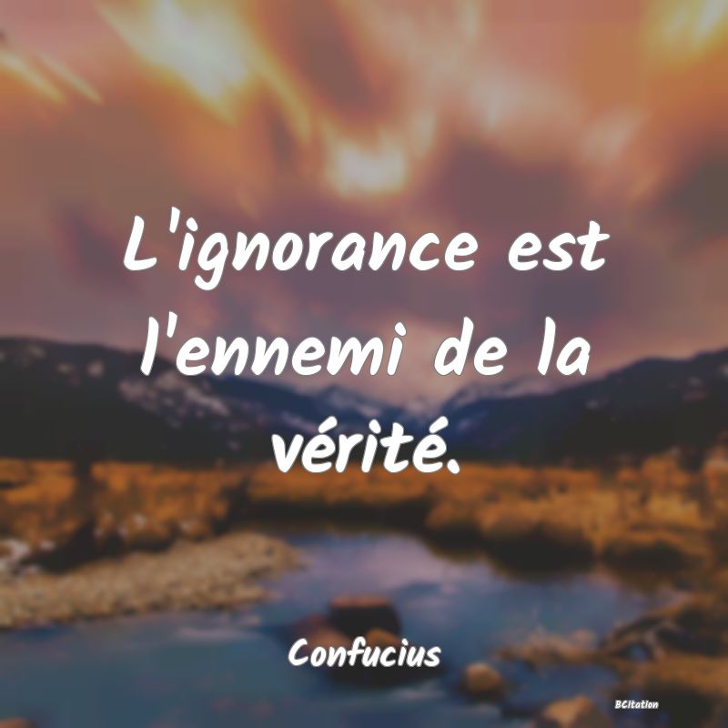 image de citation: L'ignorance est l'ennemi de la vérité.