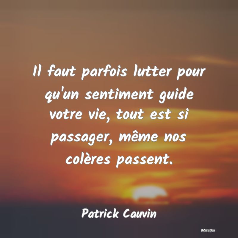 image de citation: Il faut parfois lutter pour qu'un sentiment guide votre vie, tout est si passager, même nos colères passent.