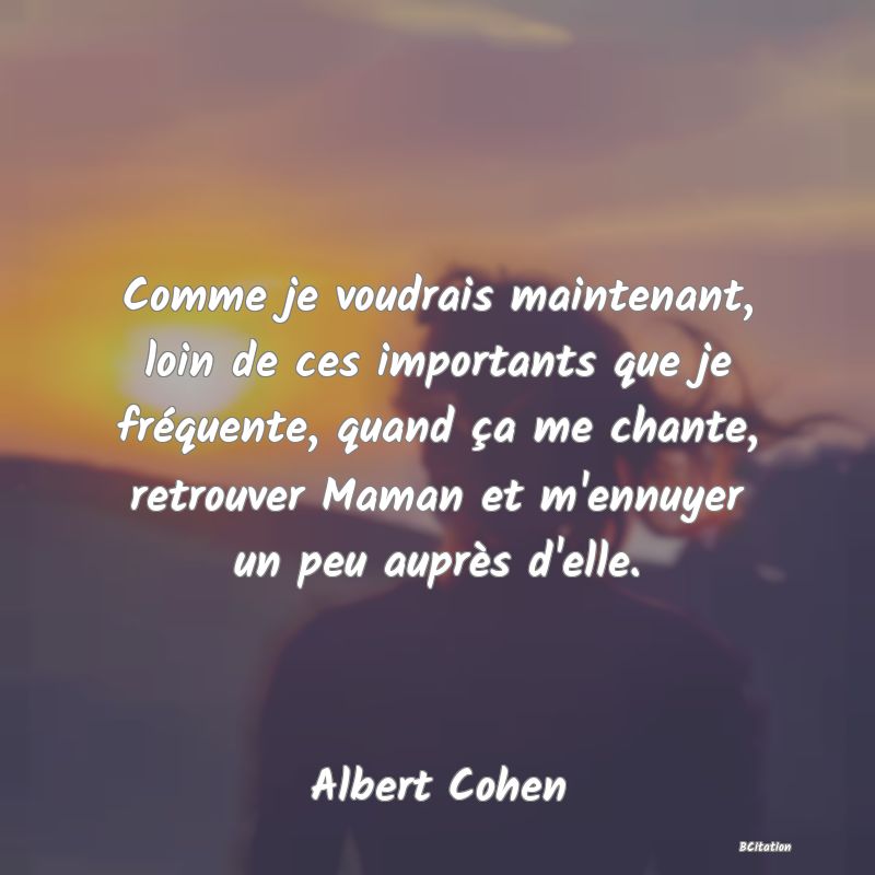 image de citation: Comme je voudrais maintenant, loin de ces importants que je fréquente, quand ça me chante, retrouver Maman et m'ennuyer un peu auprès d'elle.