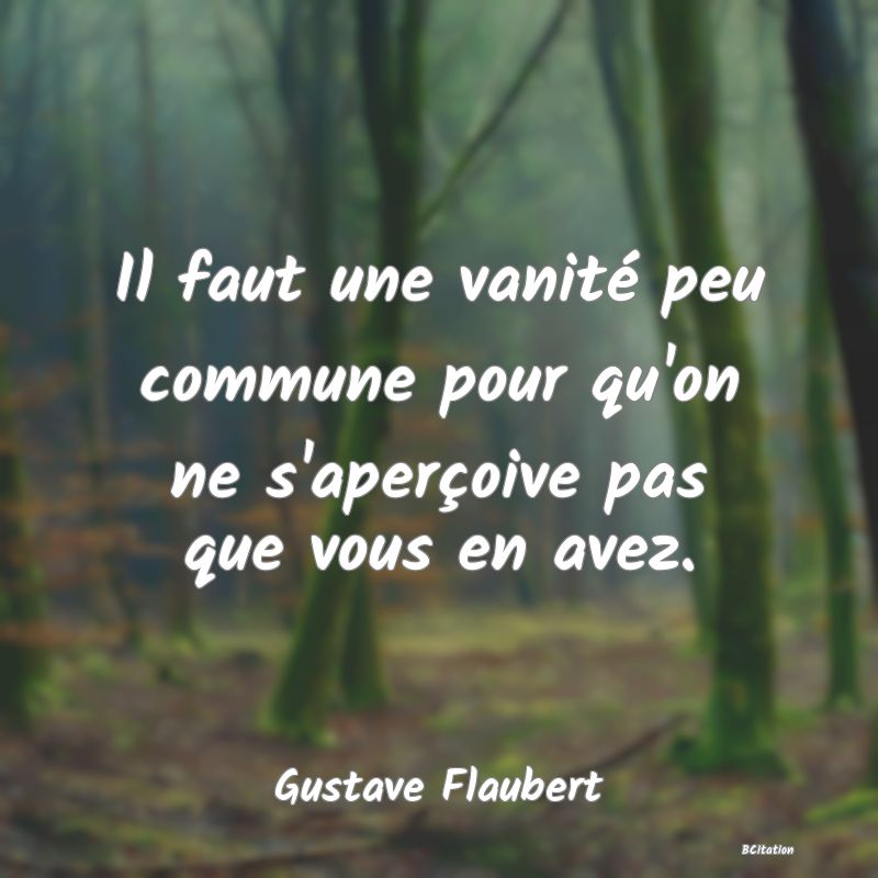 Belle Citation - Il faut une vanité peu commune pour qu'on ne s'aperçoive pas que vous en avez. - Gustave Flaubert