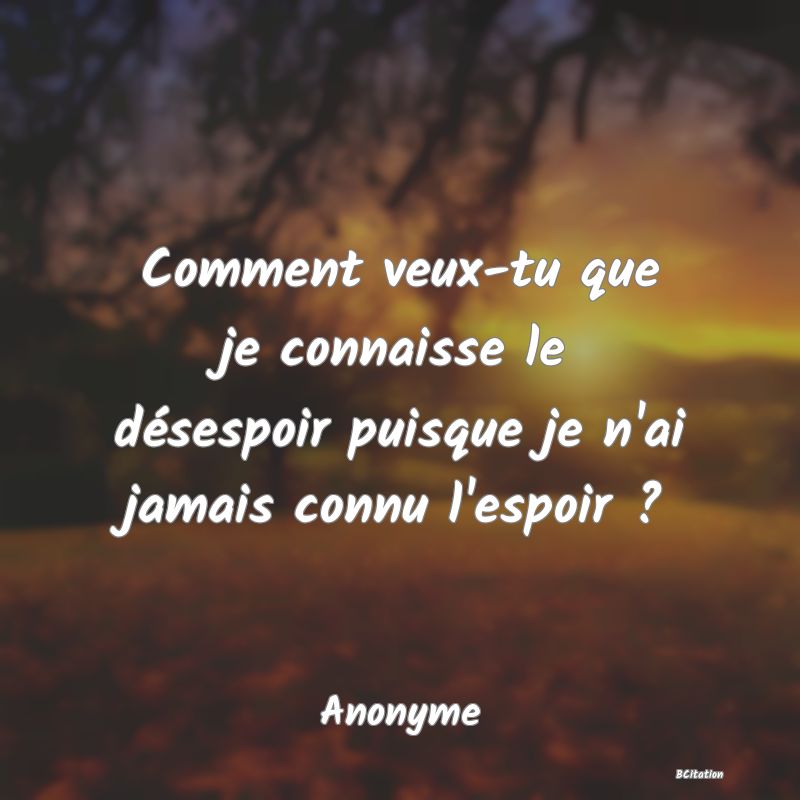 image de citation: Comment veux-tu que je connaisse le désespoir puisque je n'ai jamais connu l'espoir ?