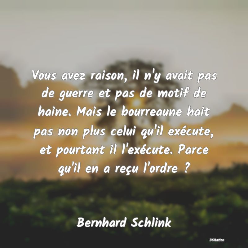 image de citation: Vous avez raison, il n'y avait pas de guerre et pas de motif de haine. Mais le bourreaune hait pas non plus celui qu'il exécute, et pourtant il l'exécute. Parce qu'il en a reçu l'ordre ?