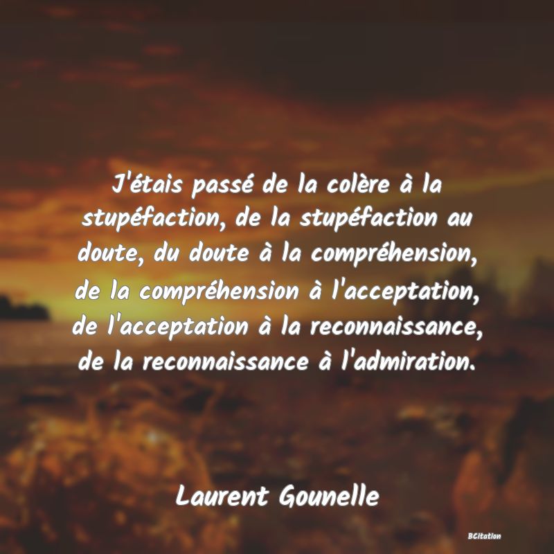 image de citation: J'étais passé de la colère à la stupéfaction, de la stupéfaction au doute, du doute à la compréhension, de la compréhension à l'acceptation, de l'acceptation à la reconnaissance, de la reconnaissance à l'admiration.