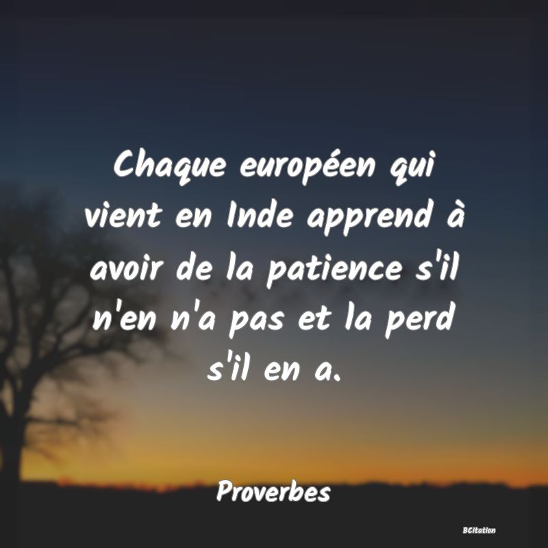 image de citation: Chaque européen qui vient en Inde apprend à avoir de la patience s'il n'en n'a pas et la perd s'il en a.