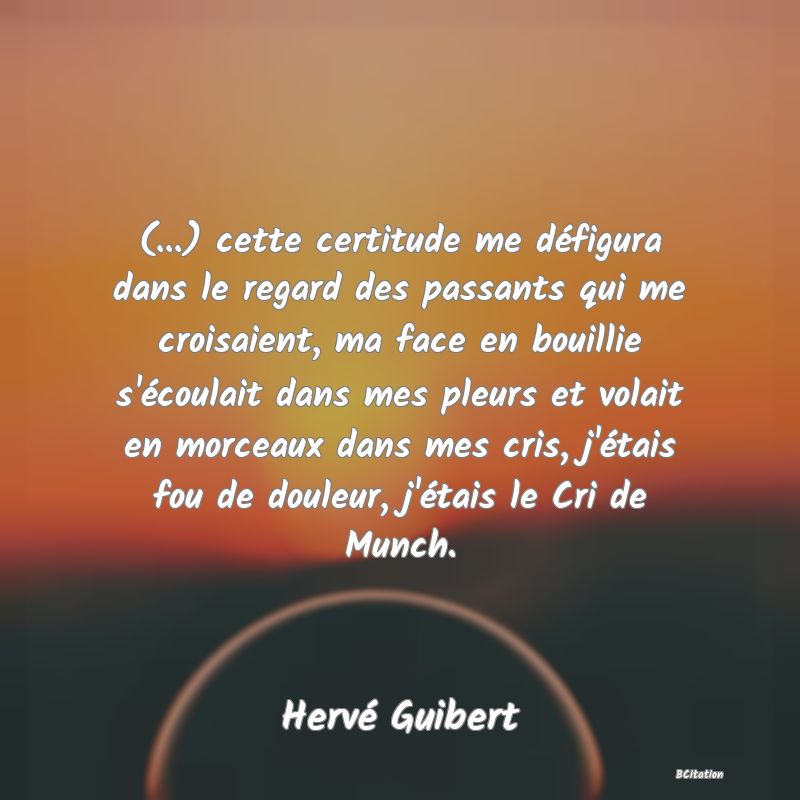 image de citation: (...) cette certitude me défigura dans le regard des passants qui me croisaient, ma face en bouillie s'écoulait dans mes pleurs et volait en morceaux dans mes cris, j'étais fou de douleur, j'étais le Cri de Munch.