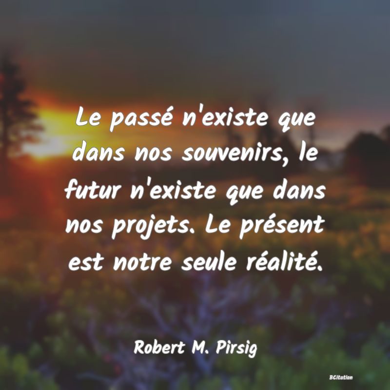 image de citation: Le passé n'existe que dans nos souvenirs, le futur n'existe que dans nos projets. Le présent est notre seule réalité.