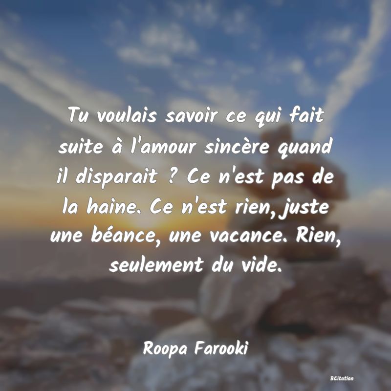 image de citation: Tu voulais savoir ce qui fait suite à l'amour sincère quand il disparait ? Ce n'est pas de la haine. Ce n'est rien, juste une béance, une vacance. Rien, seulement du vide.