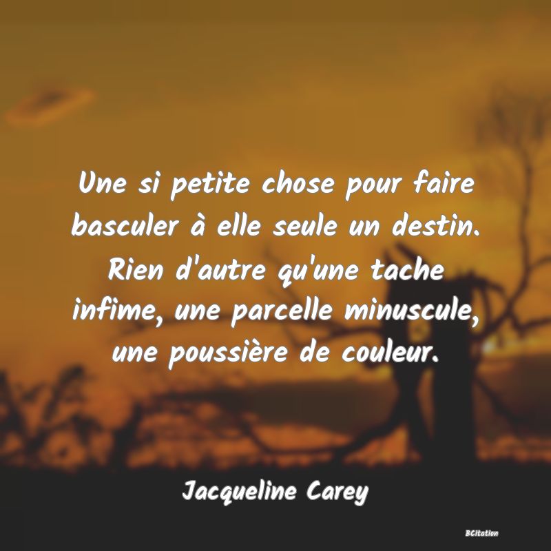 image de citation: Une si petite chose pour faire basculer à elle seule un destin. Rien d'autre qu'une tache infime, une parcelle minuscule, une poussière de couleur.