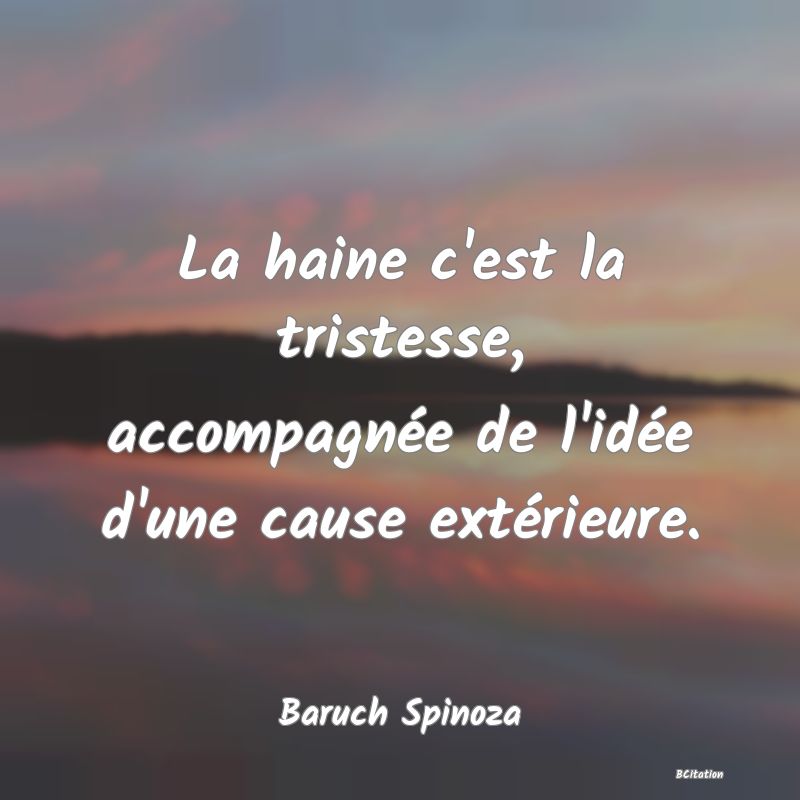 image de citation: La haine c'est la tristesse, accompagnée de l'idée d'une cause extérieure.