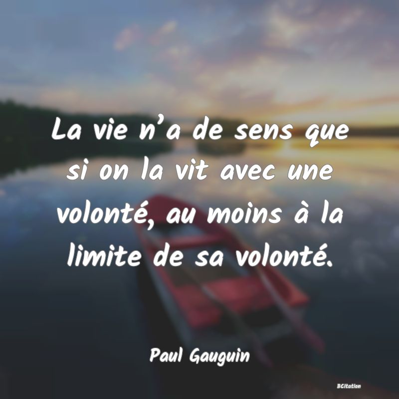 image de citation: La vie n’a de sens que si on la vit avec une volonté, au moins à la limite de sa volonté.