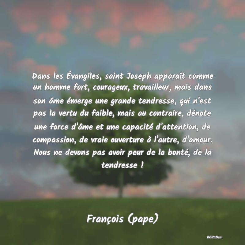 image de citation: Dans les Évangiles, saint Joseph apparaît comme un homme fort, courageux, travailleur, mais dans son âme émerge une grande tendresse, qui n'est pas la vertu du faible, mais au contraire, dénote une force d'âme et une capacité d'attention, de compassion, de vraie ouverture à l'autre, d'amour. Nous ne devons pas avoir peur de la bonté, de la tendresse !