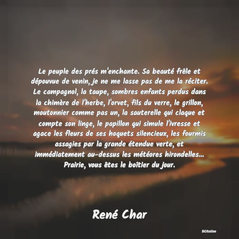 image de citation: Le peuple des prés m'enchante. Sa beauté frêle et dépouvue de venin, je ne me lasse pas de me la réciter. Le campagnol, la taupe, sombres enfants perdus dans la chimère de l'herbe, l'orvet, fils du verre, le grillon, moutonnier comme pas un, la sauterelle qui claque et compte son linge, le papillon qui simule l'ivresse et agace les fleurs de ses hoquets silencieux, les fourmis assagies par la grande étendue verte, et immédiatement au-dessus les météores hirondelles... Prairie, vous êtes le boîtier du jour.