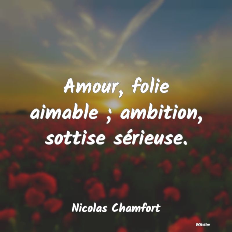 image de citation: Amour, folie aimable ; ambition, sottise sérieuse.