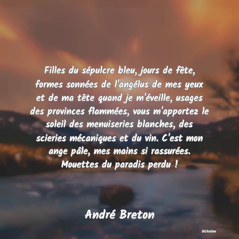 Belle Citation - Filles du sépulcre bleu, jours de fête, formes sonnées de l'angélus de mes yeux et de ma tête quand je m'éveille, usages des provinces flammées, vous m'apportez le soleil des menuiseries blanches, des scieries mécaniques et du vin. C'est mon ange pâle, mes mains si rassurées. Mouettes du paradis perdu ! - André Breton