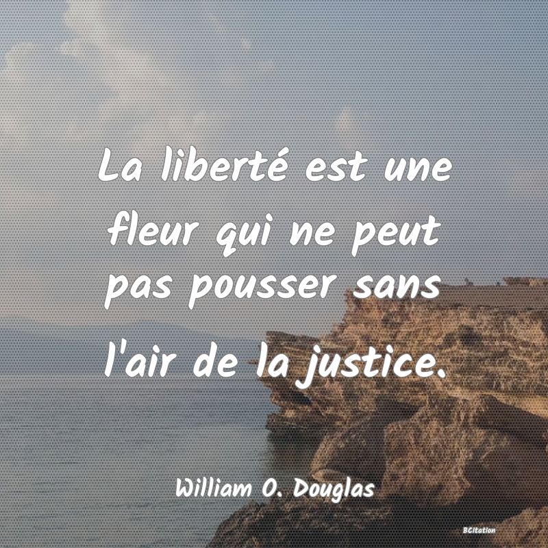 image de citation: La liberté est une fleur qui ne peut pas pousser sans l'air de la justice.