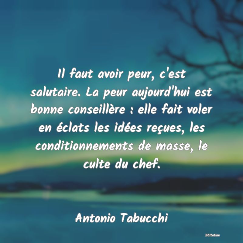 image de citation: Il faut avoir peur, c'est salutaire. La peur aujourd'hui est bonne conseillère : elle fait voler en éclats les idées reçues, les conditionnements de masse, le culte du chef.